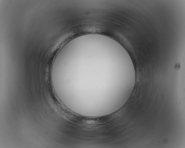 X0000112090163200908041057