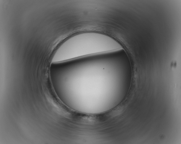 X0000112090164200908041057