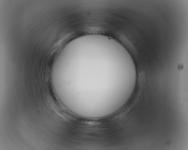 X0000112090165200908041057