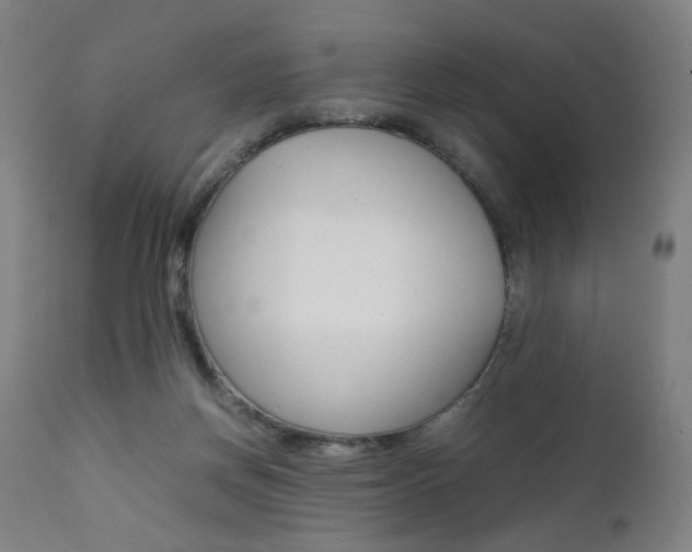 X0000112090166200908041057