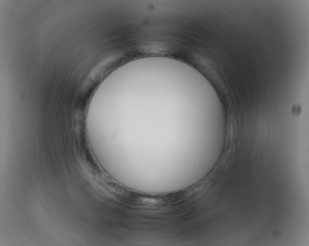 X0000112090167200908041057