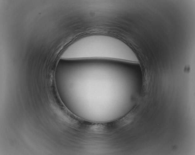 X0000112090168200908041057