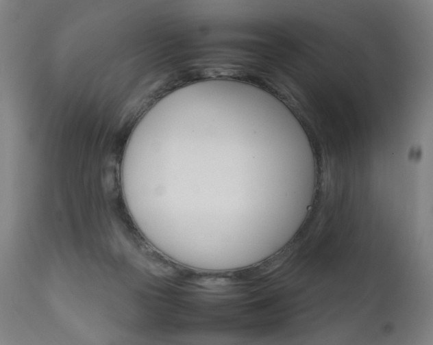 X0000112090169200908041057