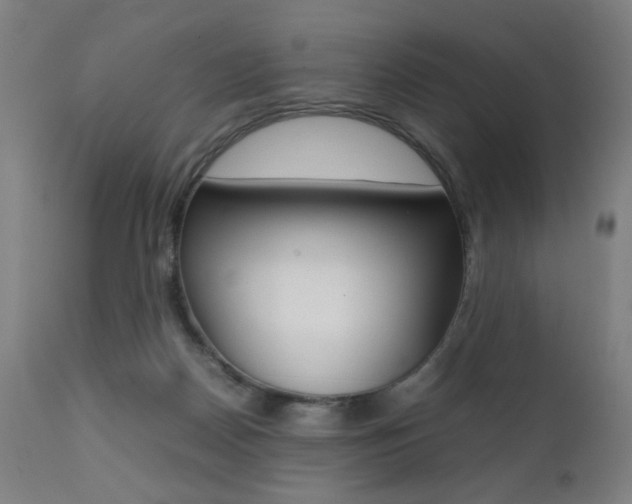 X0000112090170200908041057