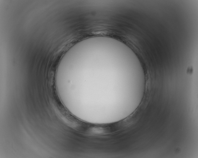 X0000112090171200908041057