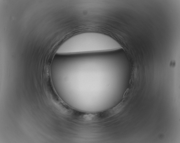 X0000112090172200908041057