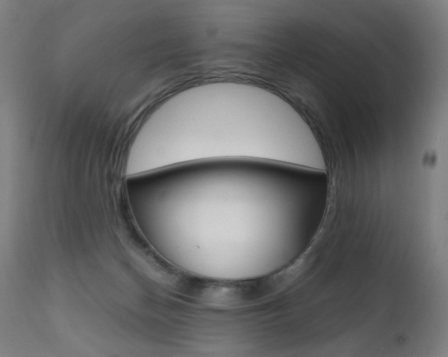 X0000112090174200908041057