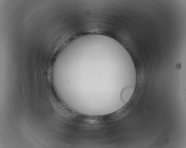 X0000112090175200908041057