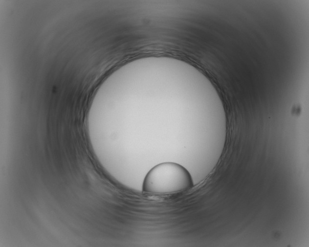 X0000112090176200908041057