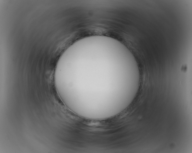 X0000112090177200908041057