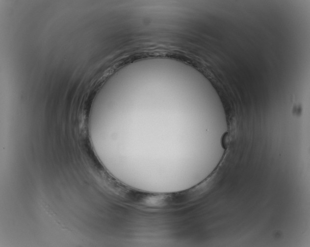 X0000112090178200908041057