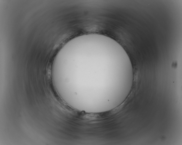 X0000112090179200908041057
