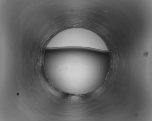 X0000112090180200908041057