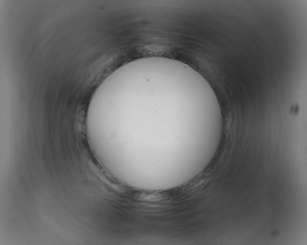 X0000112090181200908041057