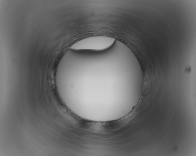X0000112090182200908041057