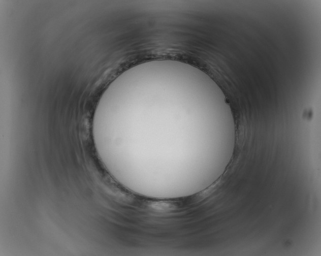X0000112090183200908041057