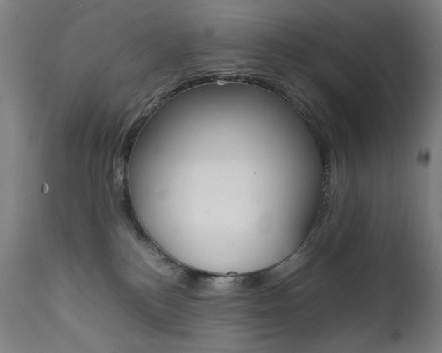 X0000112090184200908041057