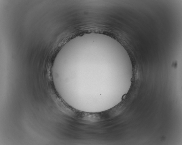 X0000112090185200908041057