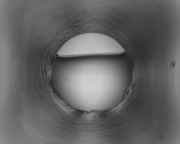 X0000112090186200908041057