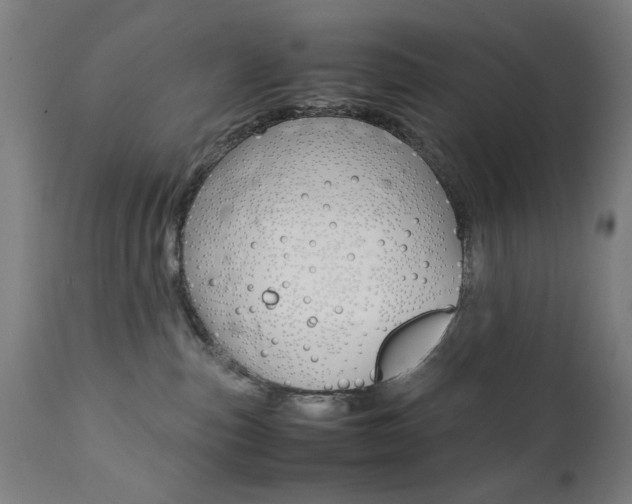 X0000112090187200908041057