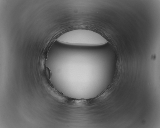 X0000112090188200908041057
