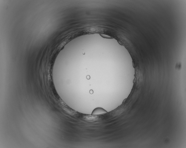 X0000112090189200908041057