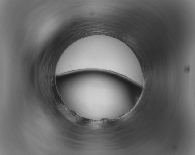 X0000112090190200908041057