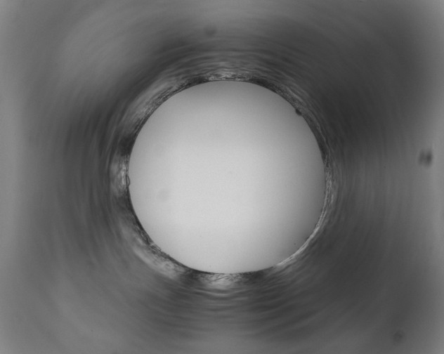 X0000112090191200908041057
