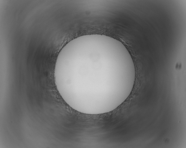 X0000112090192200908041057