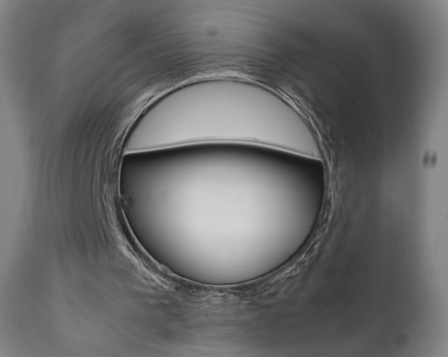 X0000112090193200908041056