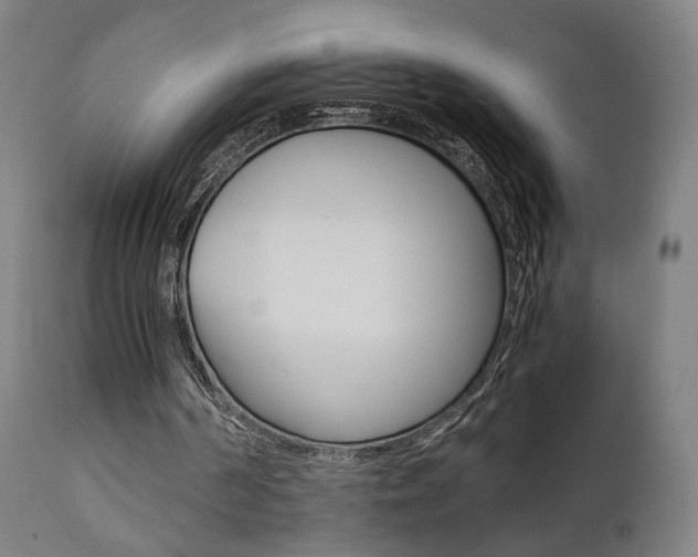 X0000112090194200908041056