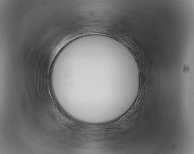 X0000112090195200908041056