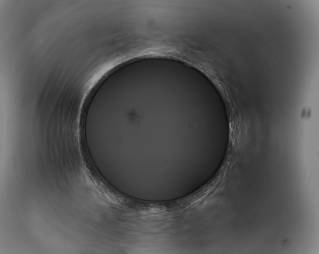 X0000112090196200908041056