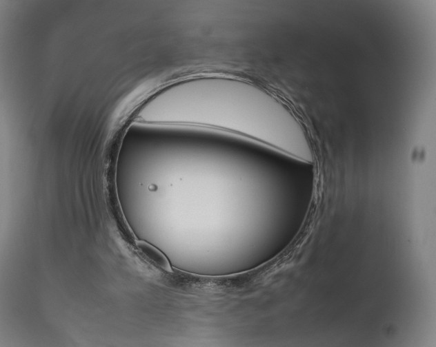 X0000112090197200908041056