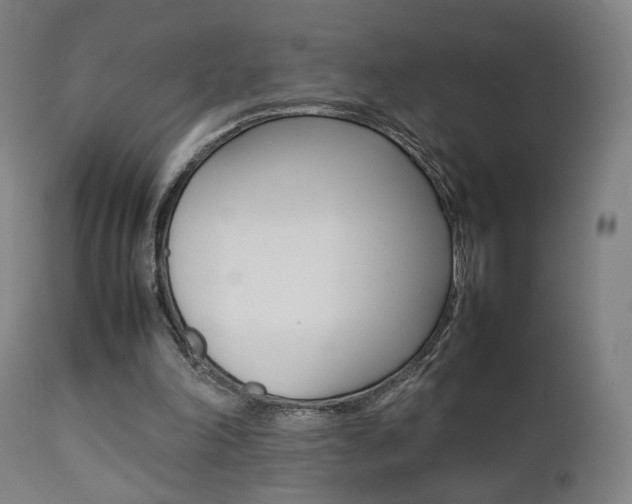 X0000112090198200908041056