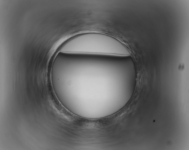 X0000112090200200908041056