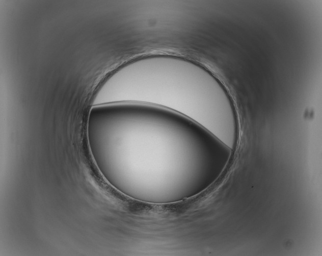 X0000112090201200908041056