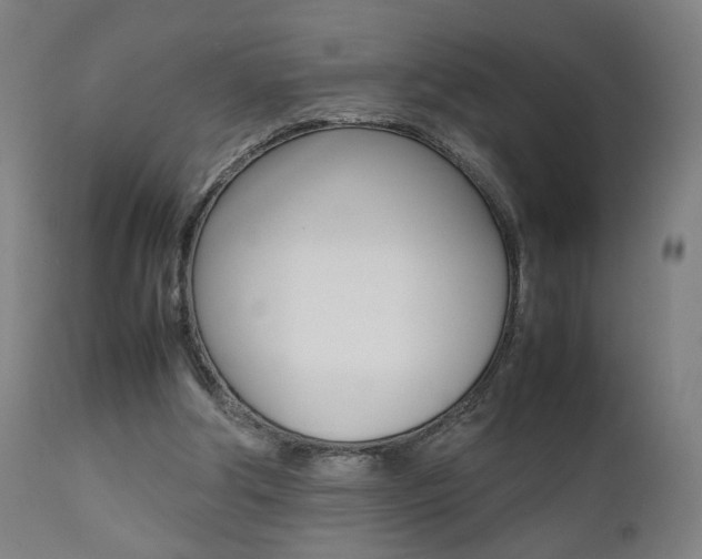 X0000112090202200908041056