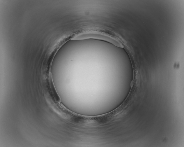 X0000112090203200908041056