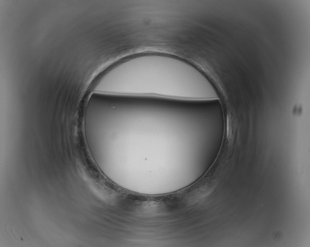 X0000112090204200908041056