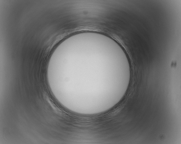 X0000112090205200908041056