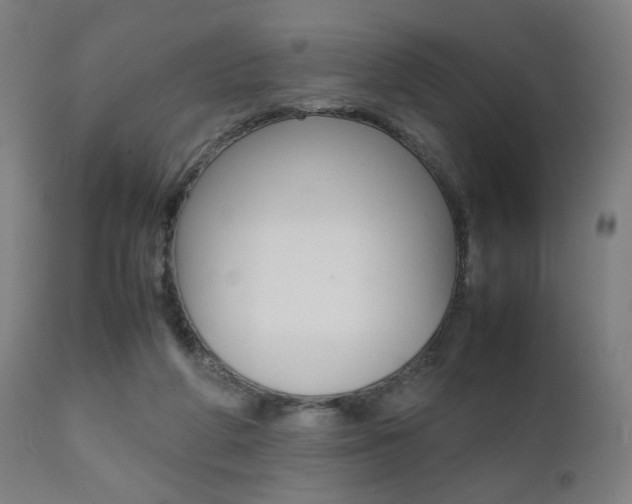 X0000112090210200908041056