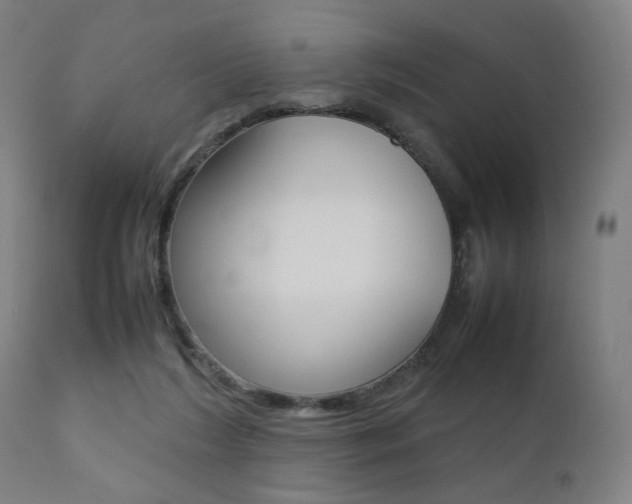 X0000112090212200908041056