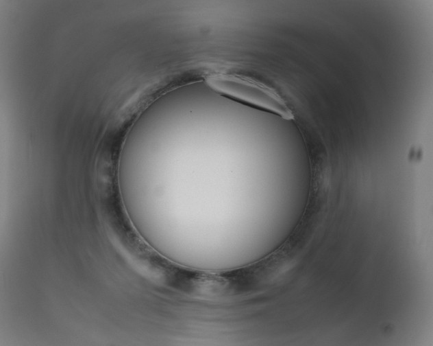 X0000112090215200908041056