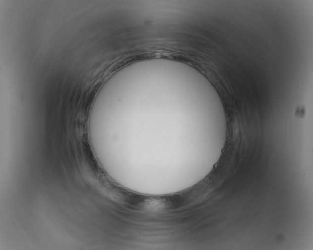 X0000112090218200908041056