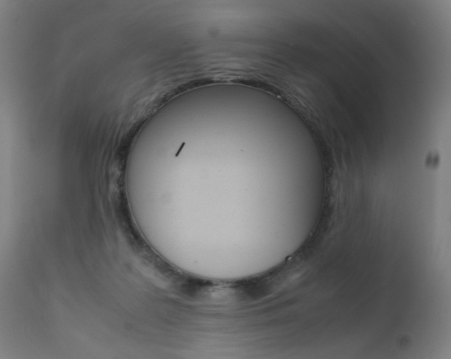 X0000112090219200908041056