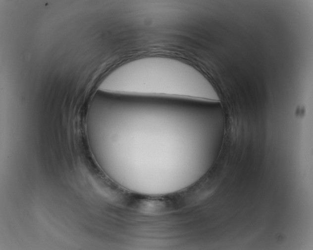 X0000112090220200908041056