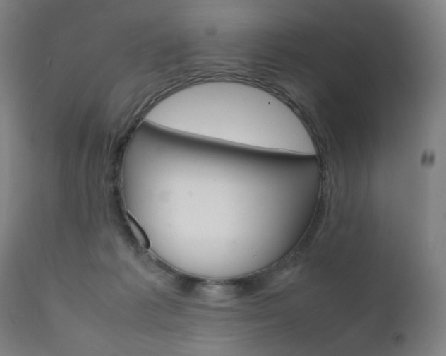 X0000112090221200908041056