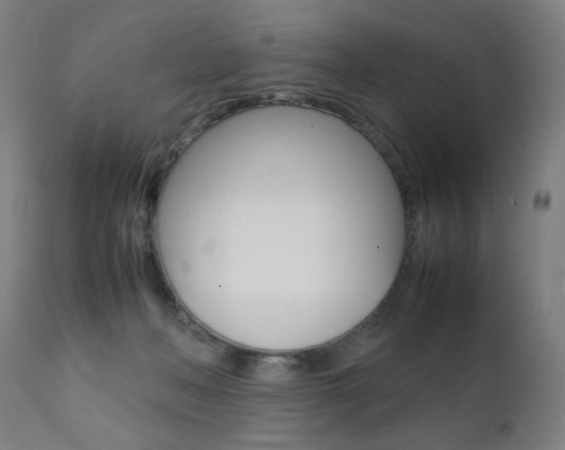 X0000112090222200908041056