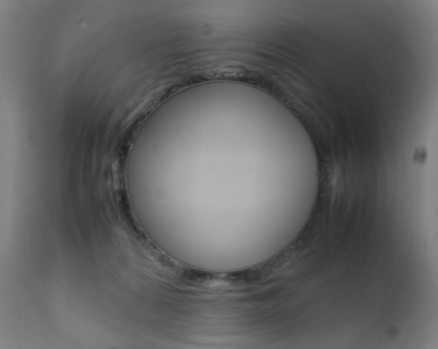 X0000112090224200908041056